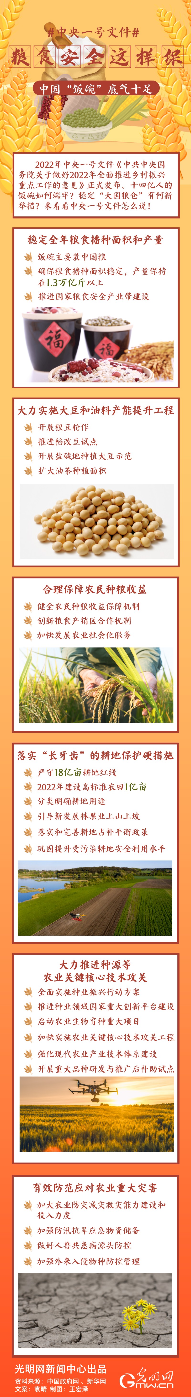 中央一號文件｜糧食安全這樣保，中國“飯碗”底氣十足