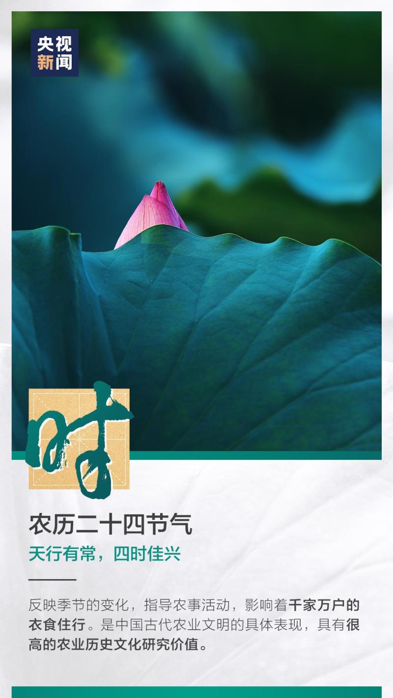 這也太浪漫了吧！