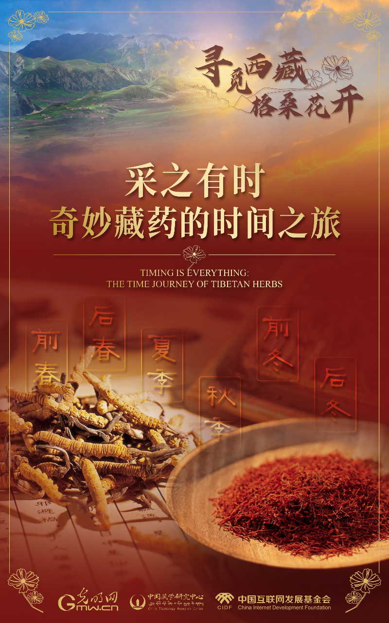 【尋覓西藏·格?；ㄩ_(kāi)】采之有時(shí)：奇妙藏藥的時(shí)間之旅