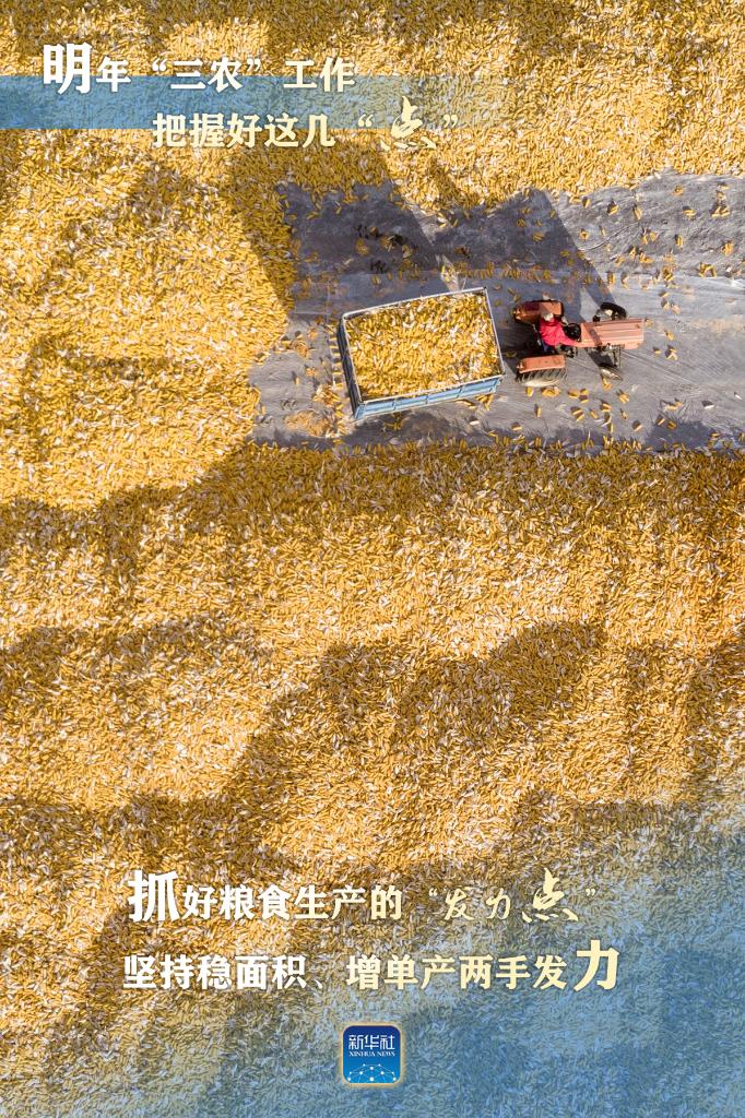 明年“三農(nóng)”工作，這幾個“點”要把握好