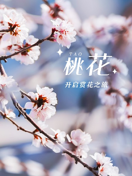 追花指南第三期！別等了 今天就去和桃花撞個(gè)滿懷