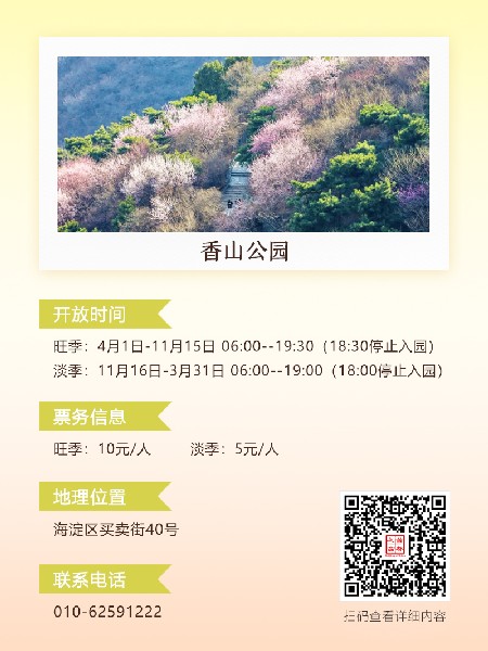 追花指南第六期！杏花雨 楊柳風(fēng) 北京最美的杏花在這里