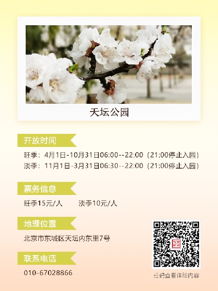 追花指南第六期！杏花雨 楊柳風(fēng) 北京最美的杏花在這里