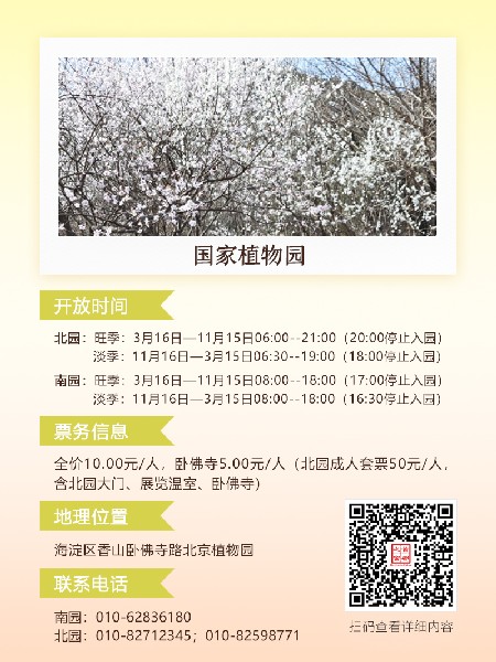 追花指南第六期！杏花雨 楊柳風(fēng) 北京最美的杏花在這里