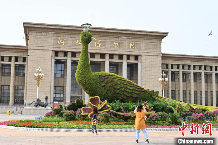 圖為游客在花壇前拍照打卡?！〉杂鸺?攝