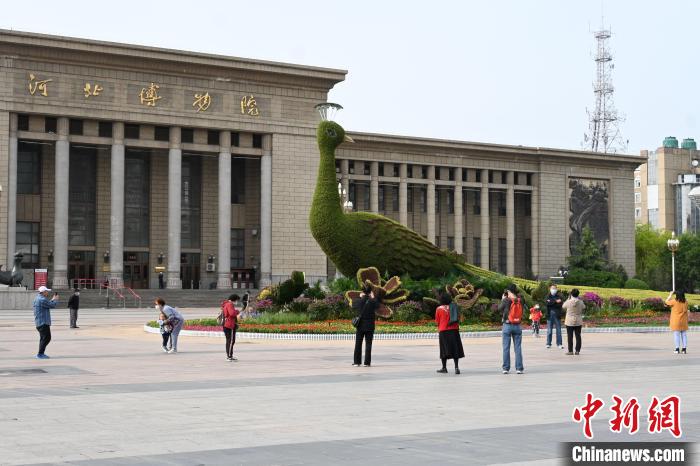 圖為游客在花壇前拍照打卡?！〉杂鸺?攝