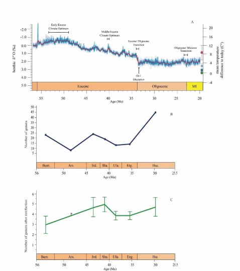 早始新世至早漸新世東亞嚙齒類屬級多樣性變化。　中科院古脊椎所 供圖