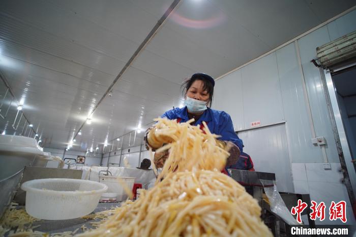 圖為一名工人正在處理切成條狀后的酸筍?！№f國(guó)政 攝