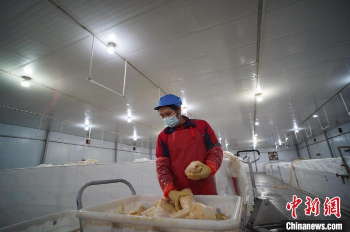 圖為一名工人正在查看酸筍腌制效果?！№f國(guó)政 攝