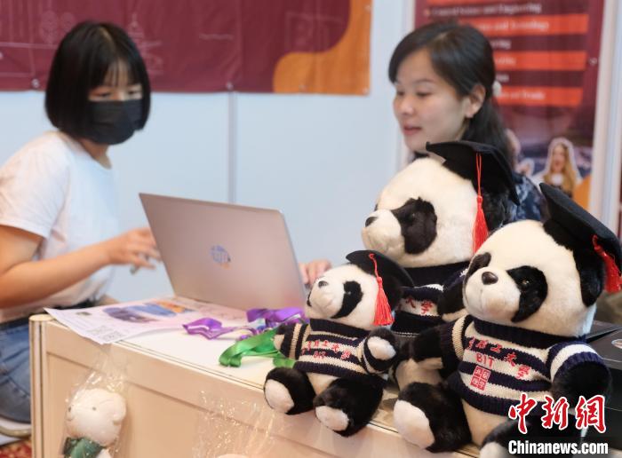 北京理工大學(xué)帶來可愛熊貓玩偶，頗為吸睛 陳悅 攝