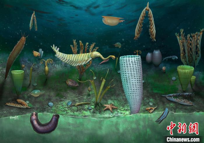 Castle Bank動物群藝術復原圖(Yang Dinghua繪制)。　施普林格·自然 供圖