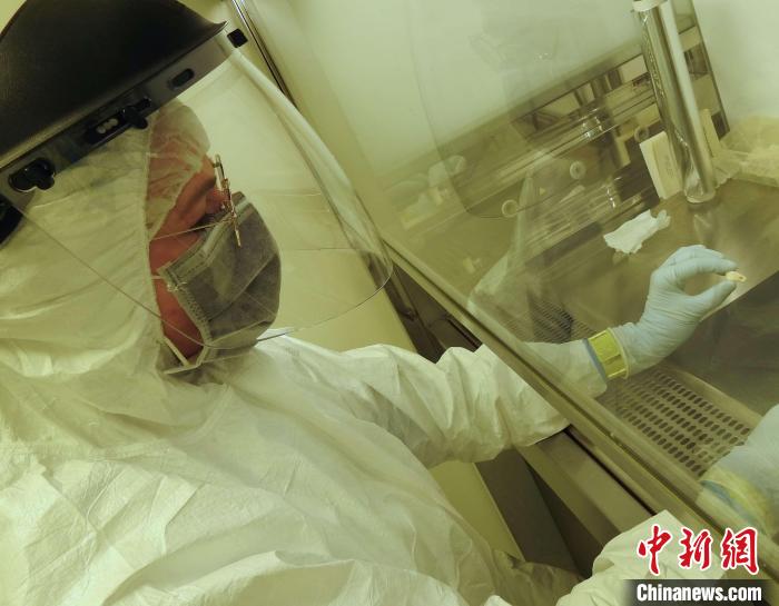 Elena Essel在凈室中處理鹿牙墜飾(圖片來自馬克斯·普朗克演化人類學(xué)研究所)。　施普林格·自然 供圖