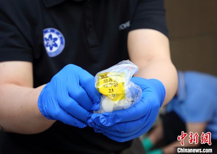 隨神舟十五號返回地面的空間科學(xué)實驗樣品?！≈锌圃嚎臻g應(yīng)用中心 供圖