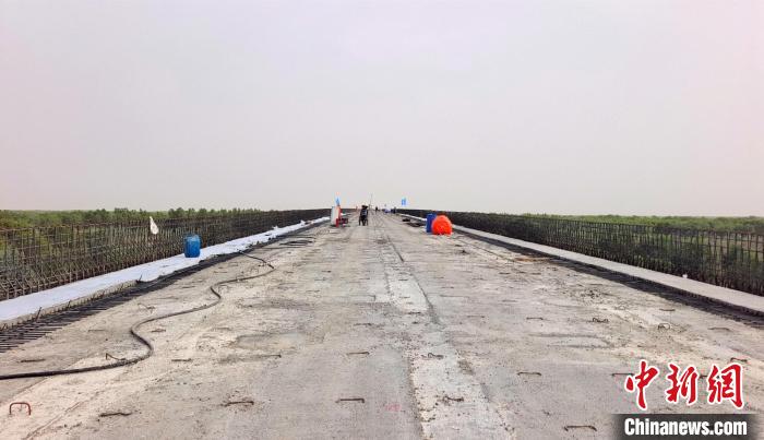 工作人員正在橋面上緊張有序地施工?！∈酚窠?攝