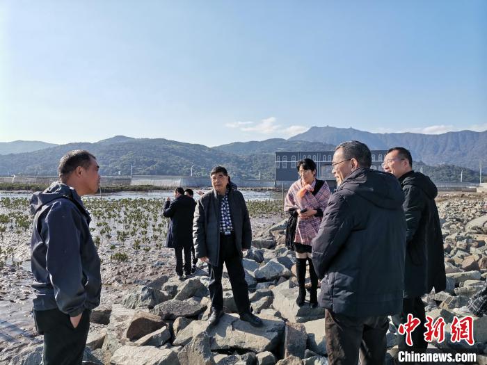 浙江海洋生態(tài)觀察：智慧大腦如何解鎖藍(lán)色發(fā)展密碼？