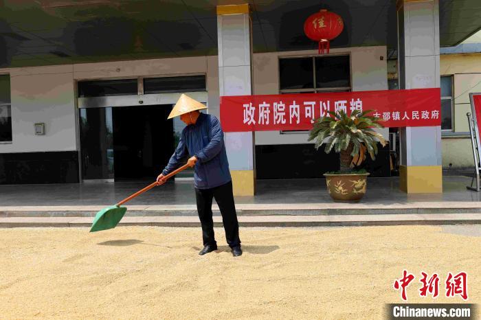 村民在棗莊市嶧城區(qū)古邵鎮(zhèn)政府大院內晾曬糧食?！『?　攝