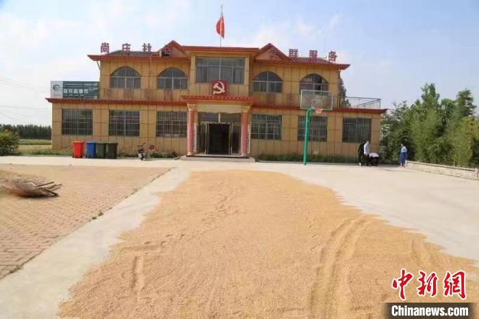 農民在邳莊鎮(zhèn)尚莊村黨群服務中心大院里曬糧?！≠Z萌 攝