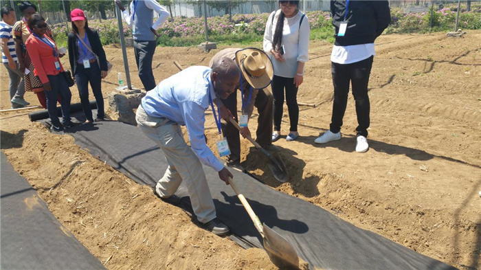 孫釗現(xiàn)場指導農(nóng)民耕種。受訪者供圖