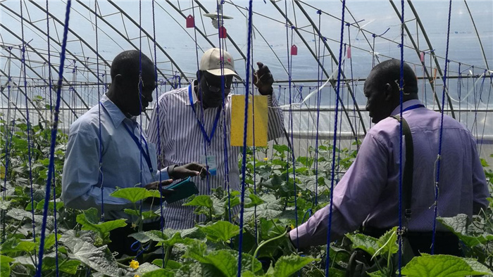 孫釗向當?shù)剞r(nóng)戶講解粘蟲板工作原理。受訪者供圖