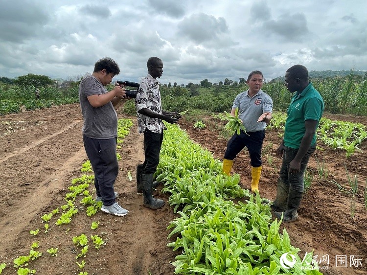 人民網(wǎng)記者走進(jìn)尼日利亞農(nóng)業(yè)技術(shù)示范中心。人民網(wǎng)記者 趙艷紅攝