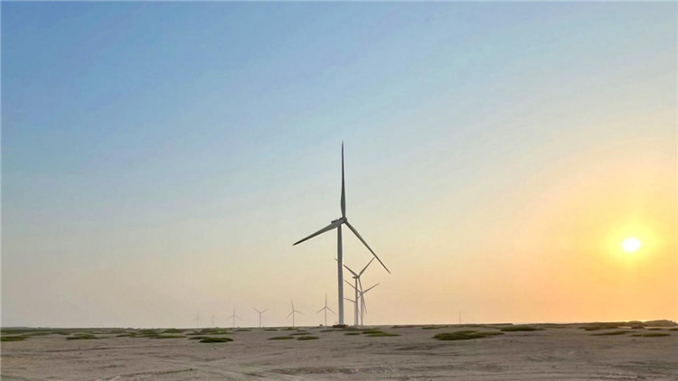 圖為阿聯(lián)酋風(fēng)電示范項目在阿布扎比薩爾巴尼亞斯島上的風(fēng)電場。 中國電建供圖