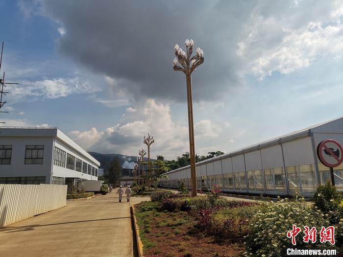 圖為園區(qū)生活區(qū)。 受訪者供圖