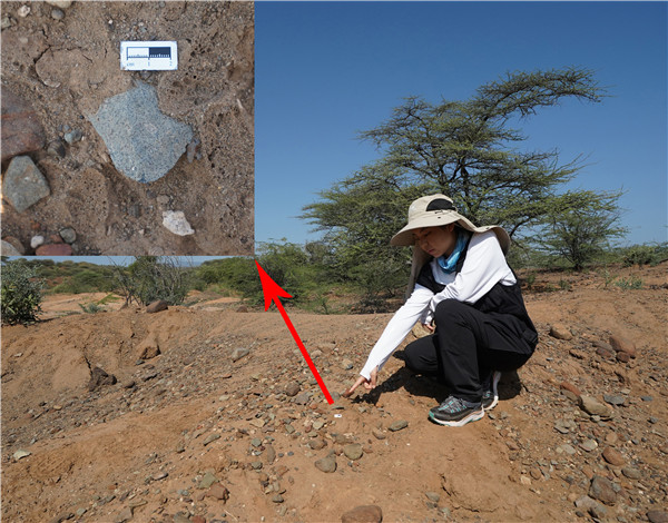 地層中的勒瓦婁哇石片。中肯聯(lián)合考古隊(duì)供圖