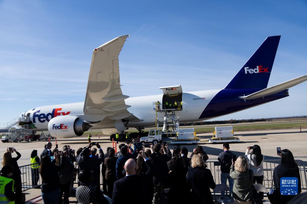 11月8日，在美國弗吉尼亞州的華盛頓杜勒斯國際機場，裝有大熊貓的特制“旅行包廂”準(zhǔn)備運上專機。新華社記者劉杰攝