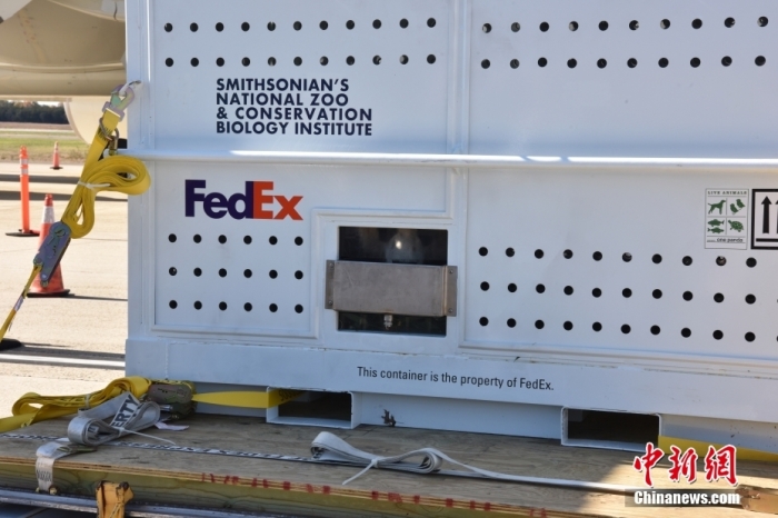 當(dāng)?shù)貢r間11月8日，美國華盛頓史密森學(xué)會國家動物園的大熊貓“美香”“添添”和它們的幼崽“小奇跡”乘坐的專機從華盛頓杜勒斯國際機場起飛前往中國成都。圖為裝有大熊貓的特制“旅行箱”。<a target='_blank' href='/'><p  align=