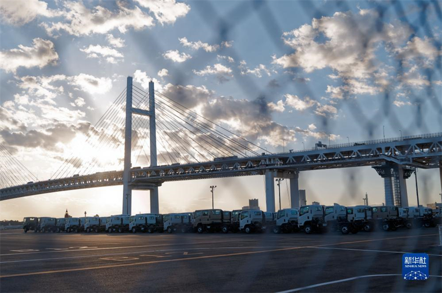 這是11月14日在日本橫濱拍攝的進(jìn)出口汽車集散場(chǎng)地。新華社記者 張笑宇 攝
