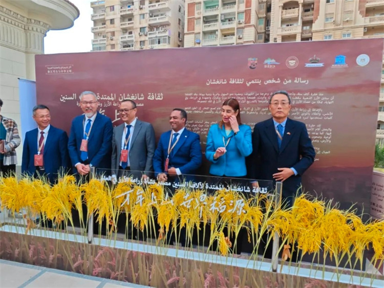 圖為現(xiàn)場嘉賓為特展啟幕。開羅中國文化中心供圖