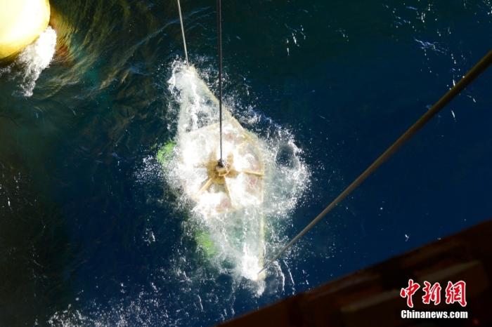 機(jī)器人入水瞬間。<a target='_blank' href='/' _fcksavedurl='/' ><p  align=