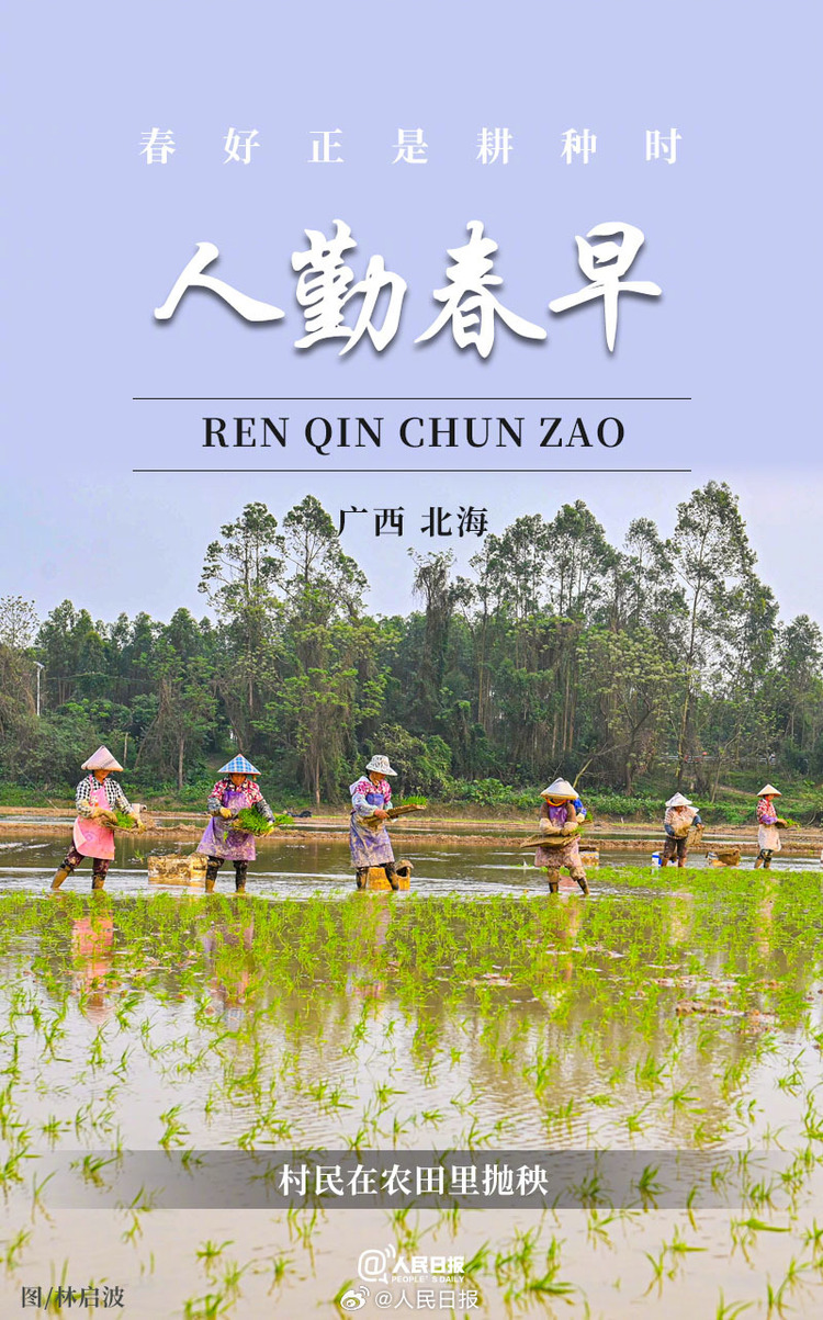 生機盎然！用課本封面打開春耕畫卷