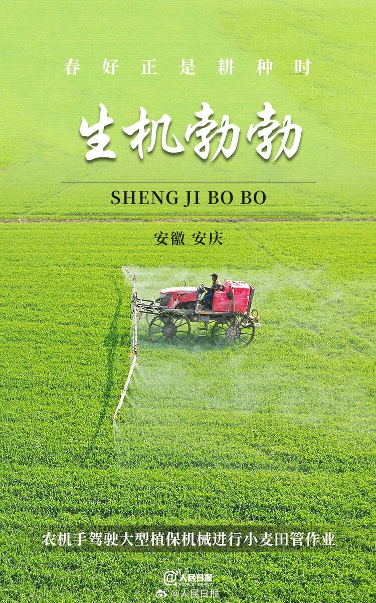 生機盎然！用課本封面打開春耕畫卷