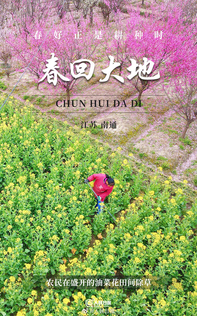 生機盎然！用課本封面打開春耕畫卷