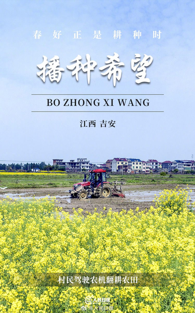 生機盎然！用課本封面打開春耕畫卷
