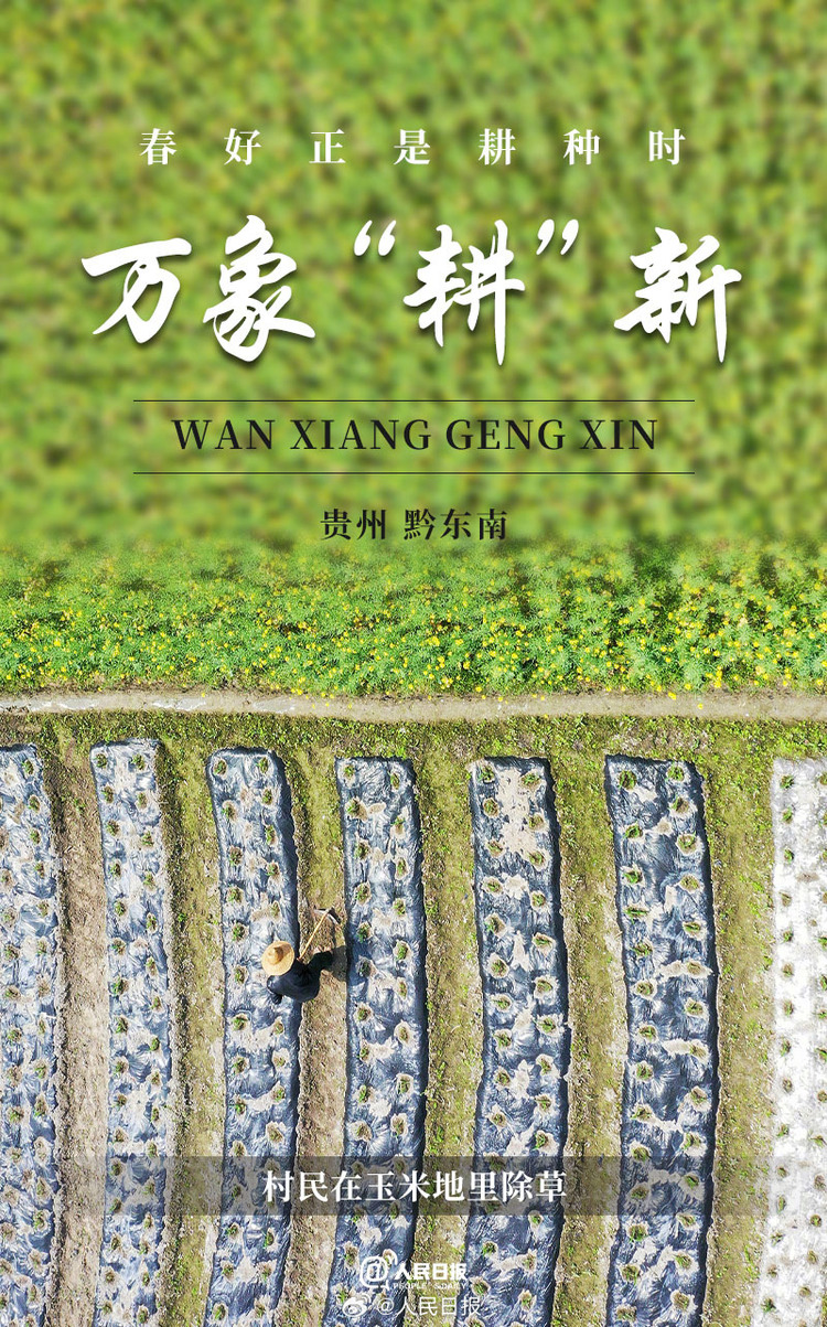 生機盎然！用課本封面打開春耕畫卷