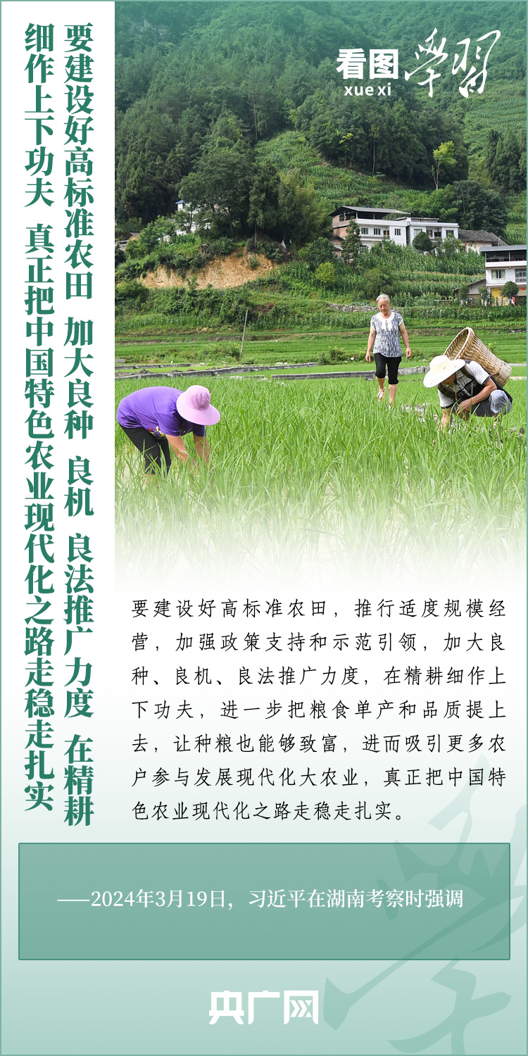 看圖學(xué)習(xí)丨推廣良田、良種、良法、良機(jī) 給農(nóng)業(yè)現(xiàn)代化插上科技的翅膀