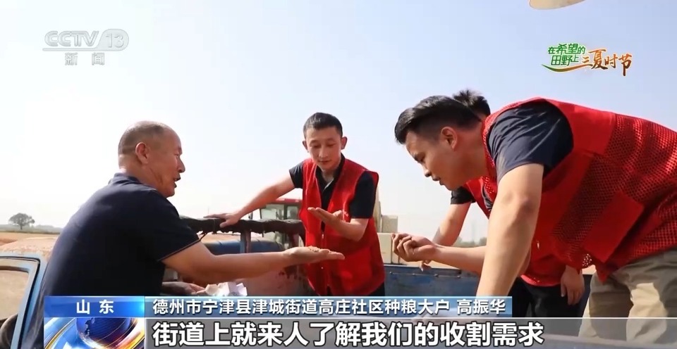 “三夏”生產(chǎn)思維導(dǎo)圖安排上了！還有政府大院等你來“曬”