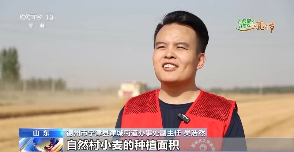 “三夏”生產(chǎn)思維導(dǎo)圖安排上了！還有政府大院等你來“曬”