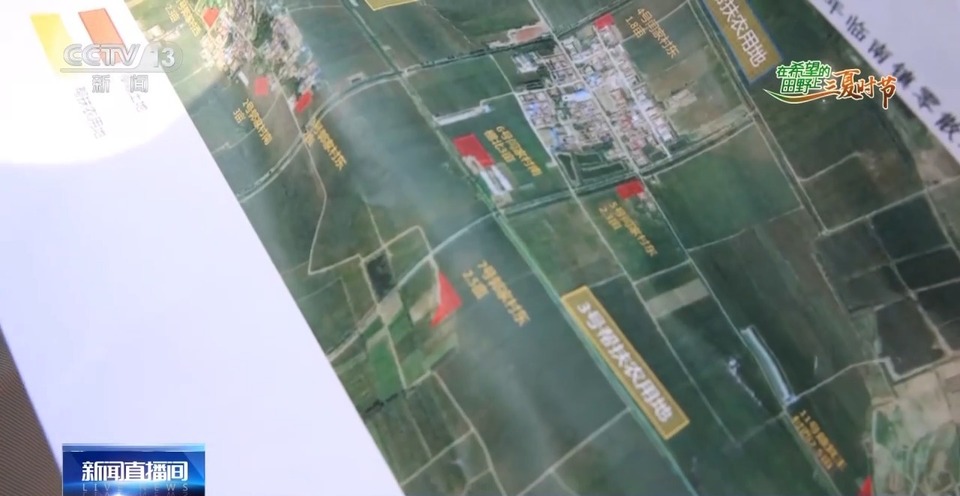 “三夏”生產(chǎn)思維導(dǎo)圖安排上了！還有政府大院等你來“曬”