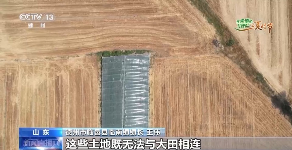 “三夏”生產(chǎn)思維導(dǎo)圖安排上了！還有政府大院等你來“曬”