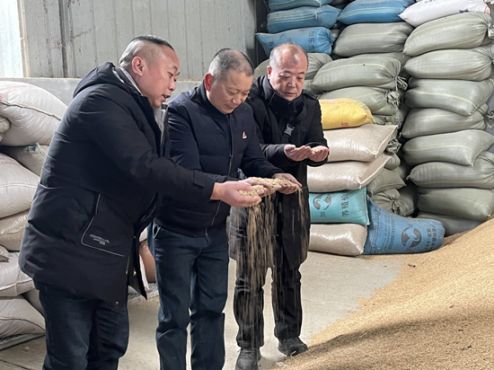 桃江種糧大戶與農(nóng)村農(nóng)業(yè)局技術(shù)人員正在查看春耕種子情況。受訪單位供圖