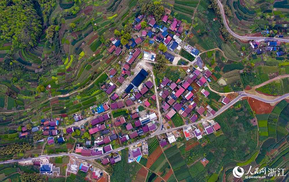 4月1日，紹興市新昌縣東茗鄉(xiāng)下巖貝村風(fēng)光秀麗，茶園旖旎。人民網(wǎng) 章勇濤攝