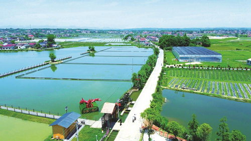 近年來，大成橋鎮(zhèn)堅持加強(qiáng)黨對鄉(xiāng)村治理的集中統(tǒng)一領(lǐng)導(dǎo)，該鎮(zhèn)鄉(xiāng)村治理模式入選第二批全國鄉(xiāng)村治理典型案例。圖為美麗的大成橋鎮(zhèn)。（資料圖片）