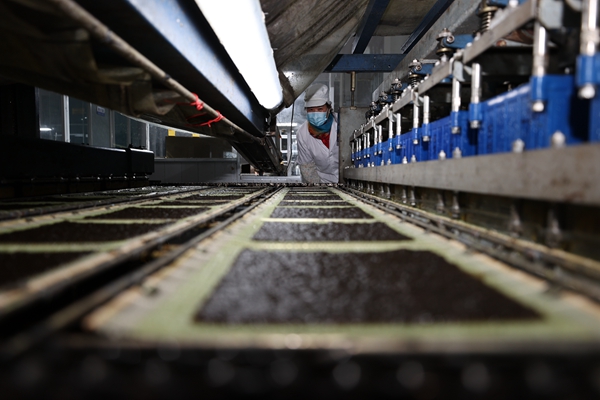 柘汪紫菜產(chǎn)業(yè)園內(nèi)入駐企業(yè)的紫菜生產(chǎn)線。贛榆區(qū)委宣傳部供圖