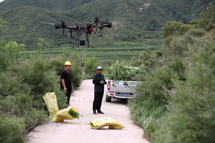 在石家莊市井陘縣吳家窯鄉(xiāng)長峪村荒山造林現(xiàn)場，一名無人機手操控無人機運輸樹苗。王保龍攝