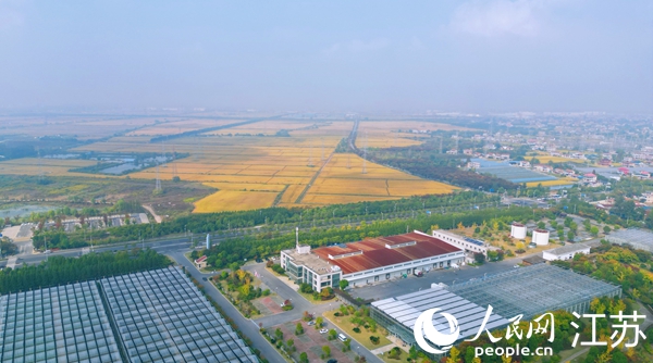 位于幸福街道的“萬(wàn)頃良田”。人民網(wǎng)記者 王繼亮攝