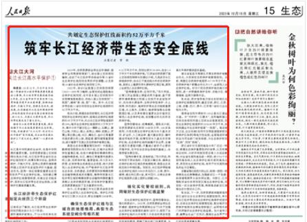 人民日?qǐng)?bào)。截圖