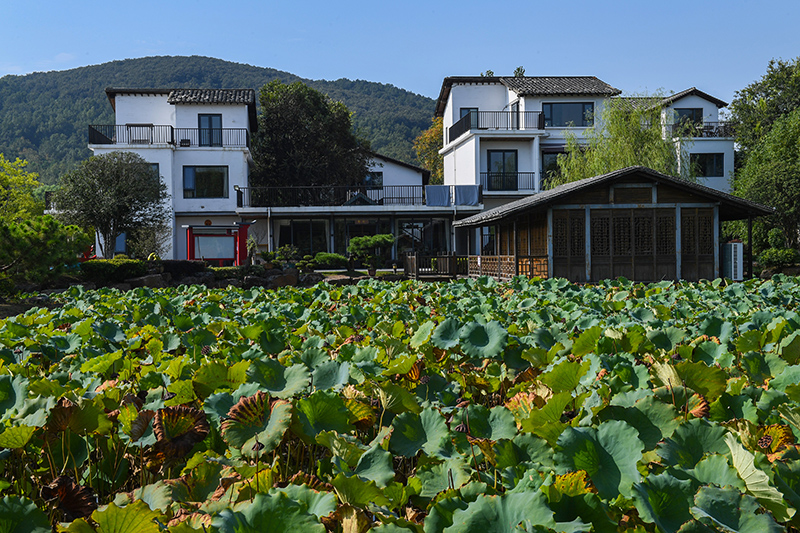 雨悅山房負責人原來在馬達加斯加打理酒店，之所以“從馬達加斯加到肥東”，源于對家鄉(xiāng)民宿前景看好。吳芳攝